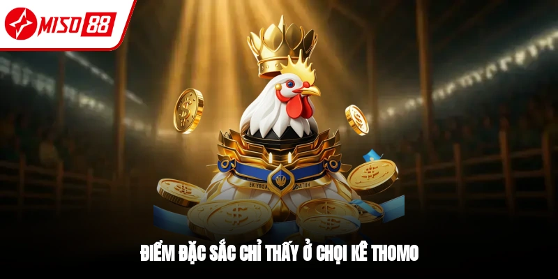 Điểm nổi bật của đá gà Thomo